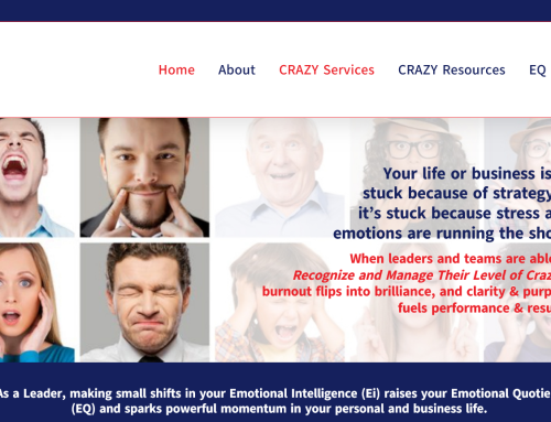EI-EQ Institute: Coaching Website Design