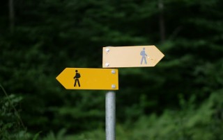 Two trail signs pointing in opposite directions, representing website navigation choices
