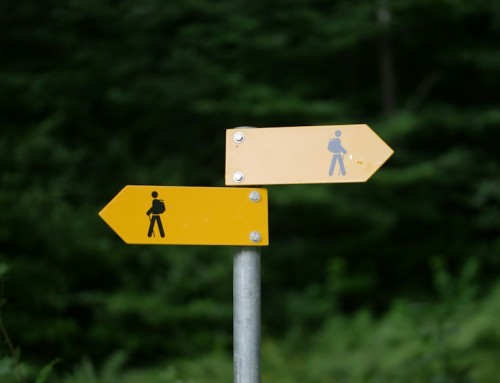 Your Website Navigation Should Follow Customer Decisions, Not Your Org Chart