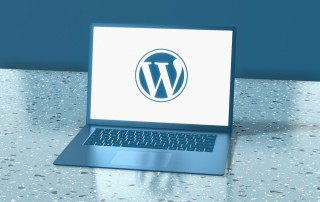 WordPress staging site before updates