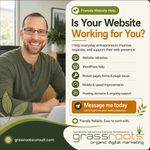 Best Web Design and Branding Services in Palm Beach, Florida