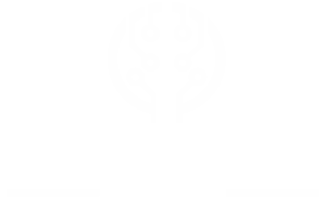 Best Web Design and Branding Services in Palm Beach, Florida