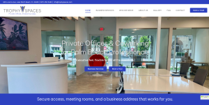 Best Web Design and Branding Services in Palm Beach, Florida